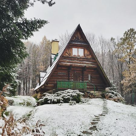 Kosarzowka Villa Bielsko-Biała Eksteriør bilde