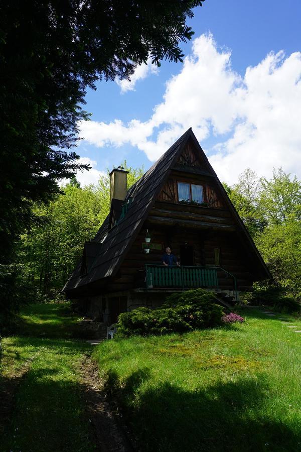 Kosarzowka Villa Bielsko-Biała Eksteriør bilde