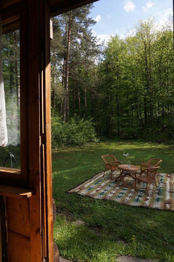 Kosarzowka Villa Bielsko-Biała Eksteriør bilde
