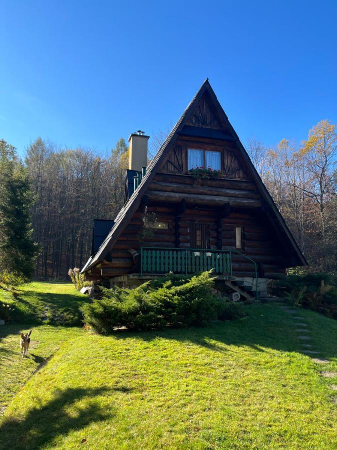 Kosarzowka Villa Bielsko-Biała Eksteriør bilde