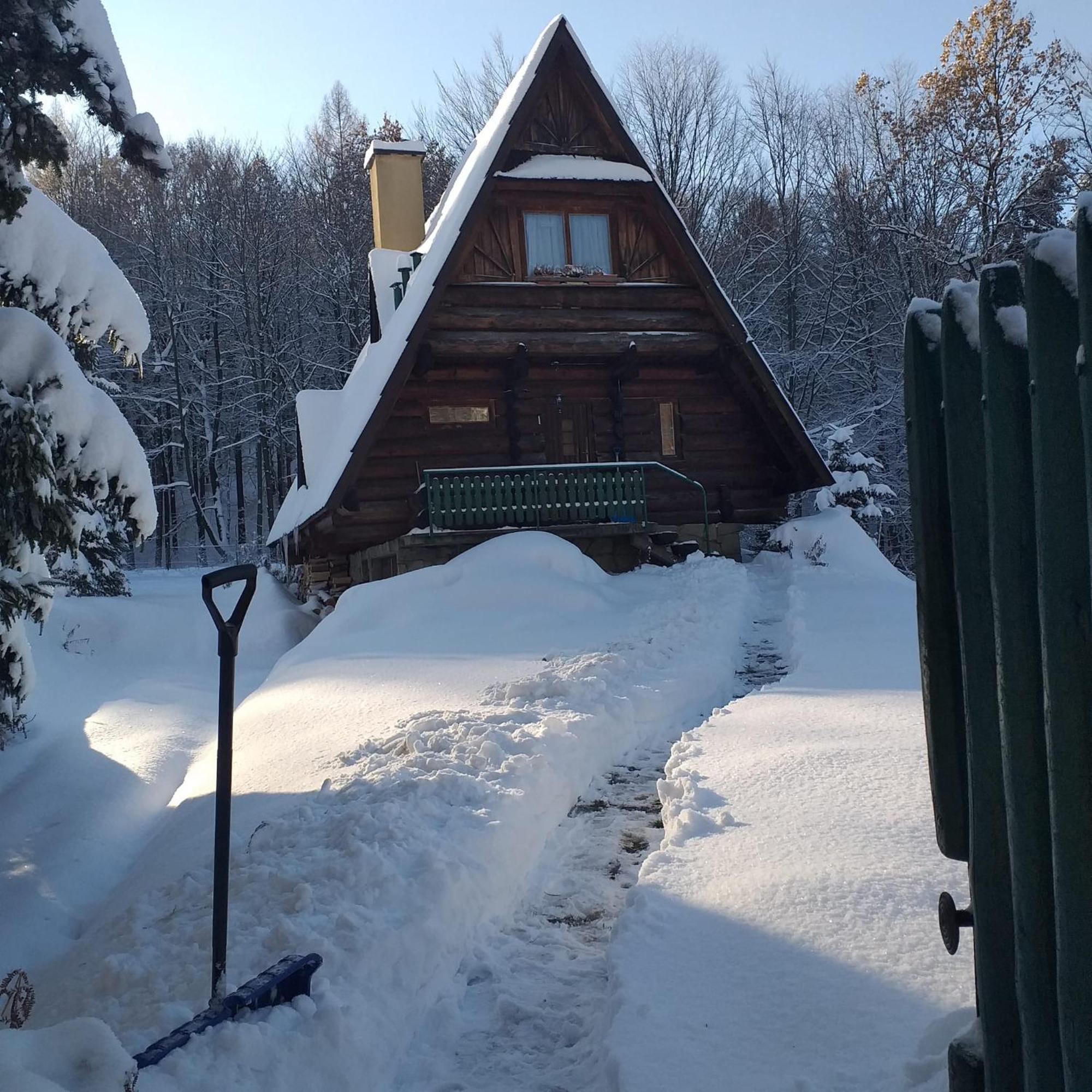 Kosarzowka Villa Bielsko-Biała Eksteriør bilde